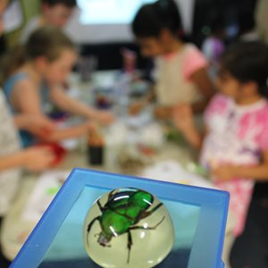 A few children at an activity with an insect in a glass ball