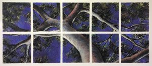painting composted by ten squares of a gum tree in a dark blue sky