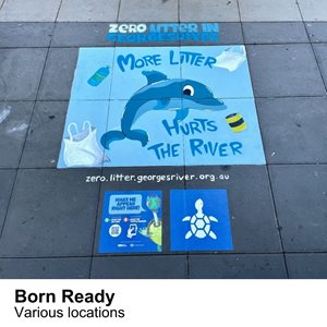 A small square mural painted on a footpath of a dolphin advertising the Georges River Keeper program 'Zero litter in Georges River'