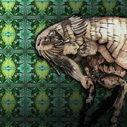 Artwork of a flea in front of vivid green, patterned wallpaper