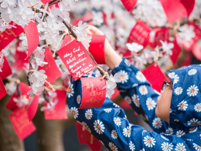 Child placing up a wish on a tree