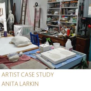 Artist Case Study - Anita Larkin