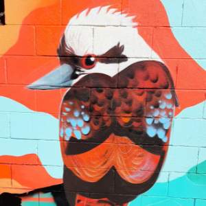 Close up of a Kookaburra on a Public Art mural with orange and blue tones