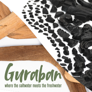 Guraban: where the saltwater meets the freshwater