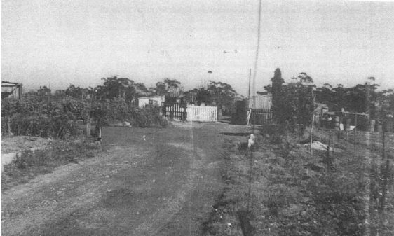 Black and white imgage of White Gates Farm and Stud Piggery