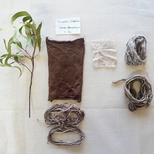 eucaliptus leaves and textiles treated by eculiptus