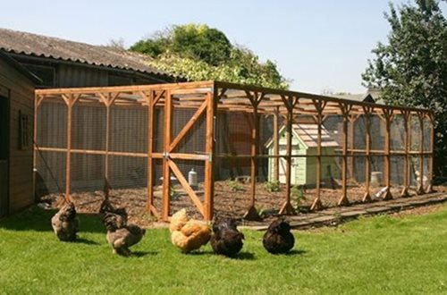 Image as an example of a Fox-Proof Chicken Coop