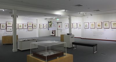 main gallery space