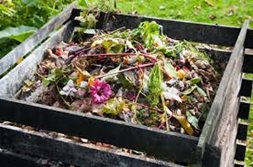 Compost bin with vegetable scraps