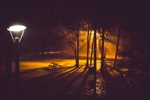 picture of Carss Park at night time only illuminated by one light