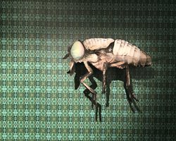 Giant horse fly in front of green patterned wall paper.