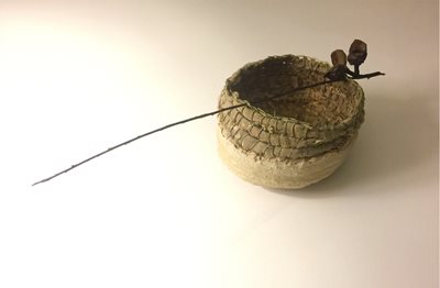 clay pot with a fine eucalyptus branch on top of the base