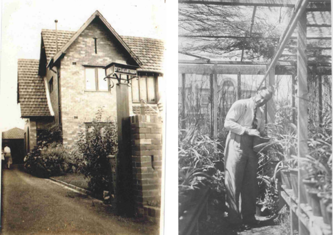 14 MacMahon Street and Dr Crakanthorp in his greenhouse, courtesy of the Crakanthorp family.
